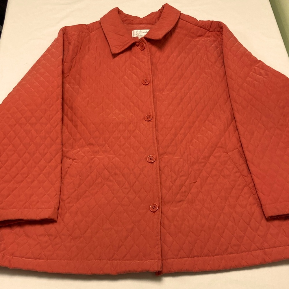 CJ Banks by Christopher and Banks plus size women’s pink petty coat size 2X